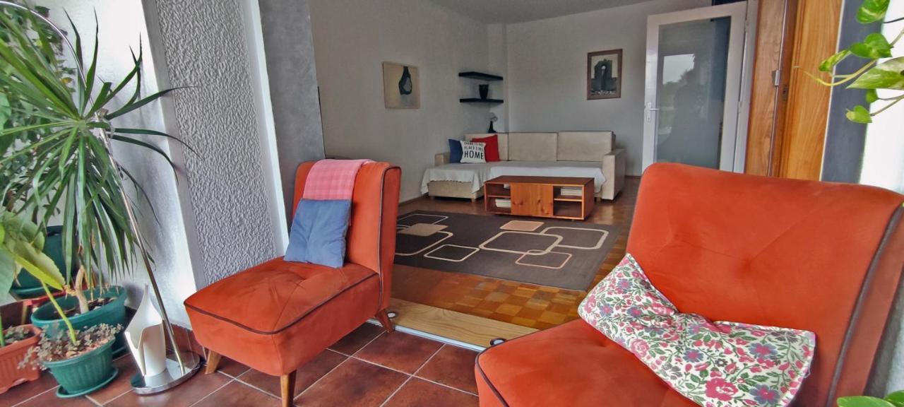 Sokolov Apartment Смедерево Экстерьер фото